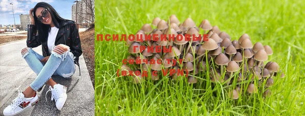 трава Абинск
