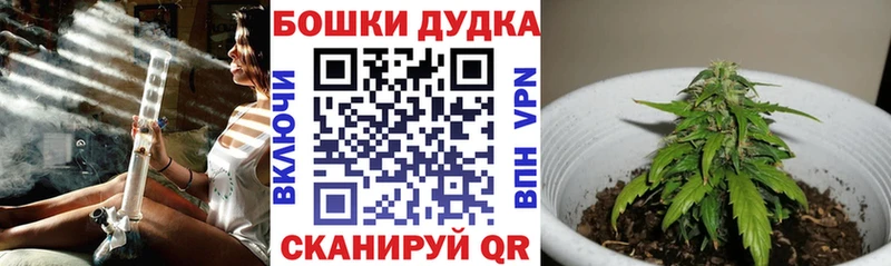 Бошки марихуана OG Kush  дарнет шоп  Ржев 